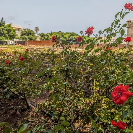Castle Views By Canariasgetaway *