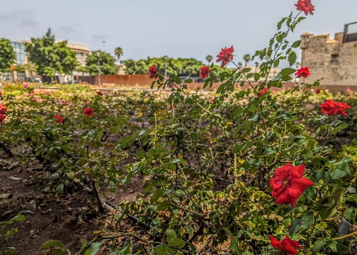 Castle Views By Canariasgetaway *